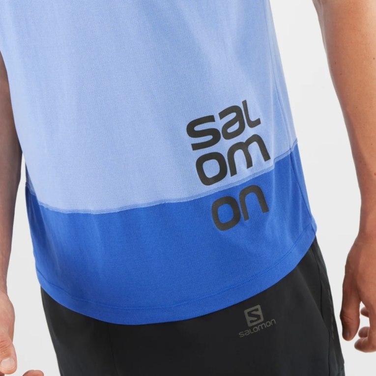 Blue Salomon Cross Run Graphic Short Sleeve Men's T-Shirts | PH 05916U